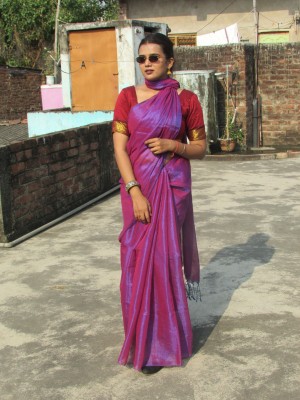 Shaw Creation Solid/Plain Handloom Handloom Tissue Saree(Purple)