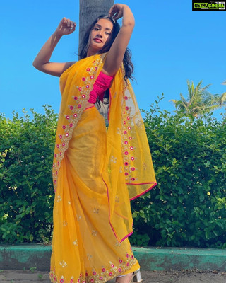Yozzby Embroidered Bollywood Net Saree(Yellow)