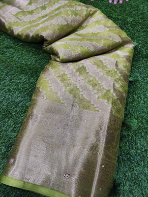 Divastri Woven Banarasi Organza Saree(Green)