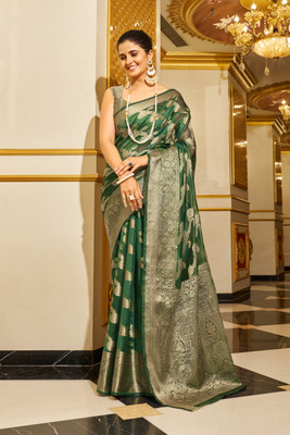 Divastri Solid/Plain Handloom Nylon Saree(Light Green)