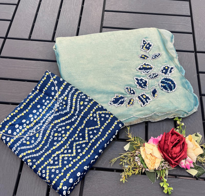Zari and Ziba Embroidered Bollywood Chiffon Saree(Blue)