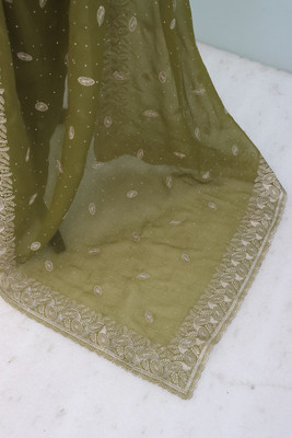 Mikhushop Embroidered Bollywood Organza Saree(Light Green)
