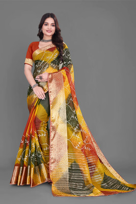 Aarunika BS Solid/Plain Bollywood Organza Saree(Multicolor)
