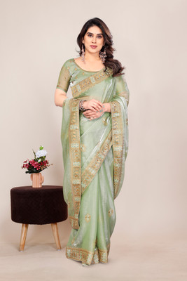 Radheradhey Embroidered Bollywood Jimmy choo Saree(Light Green)