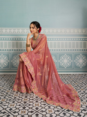 sareya veela Embroidered, Embellished Bollywood Jimmy choo, Chiffon Saree(Multicolor)