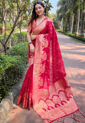 all about you Embroidered Bollywood Organza Saree(Pink)