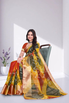 Aarunika BS Embroidered Bollywood Organza Saree(Multicolor)