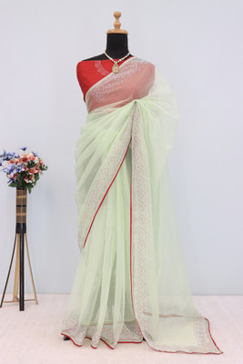 Jennyfab Embellished Bollywood Supernet Saree(Light Green)