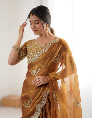 Satrani Embellished, Embroidered Bollywood Organza Saree(Brown)