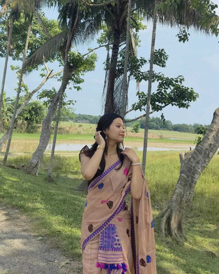 collctionmekhla Woven Mekhela Chador Pure Cotton Saree(Multicolor)