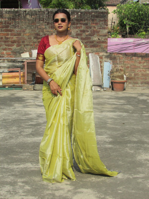 Shaw Creation Solid/Plain Handloom Handloom Tissue Saree(Light Green)