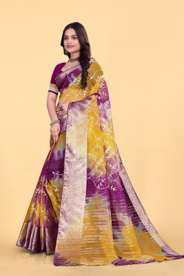 Aarunika SKT Printed Bollywood Organza Saree(Multicolor)