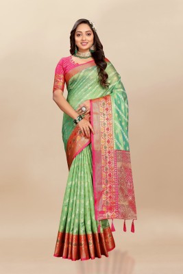 VISVASTA Woven, Printed, Self Design, Applique, Striped, Temple Border Banarasi Organza, Jacquard Saree(Light Green)