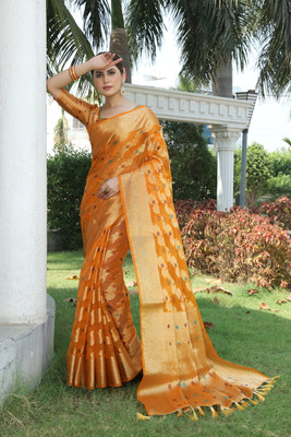 DHRUVIL TEXTILES Self Design Banarasi Organza, Cotton Silk Saree(Multicolor)