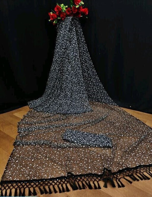 TECHNO WORLD Self Design Bollywood Net Saree(Black)