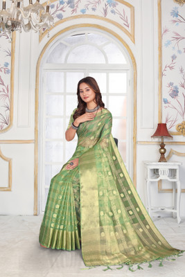 Aarunika LGF Printed Bollywood Organza Saree(Light Green)