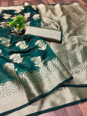 DHARM CREATION Self Design Banarasi Organza Saree(Green)