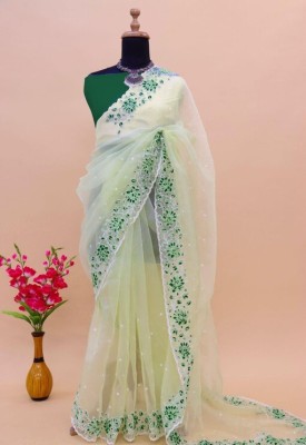 RudraEthnic Embroidered Bollywood Net, Organza Saree(Light Green)