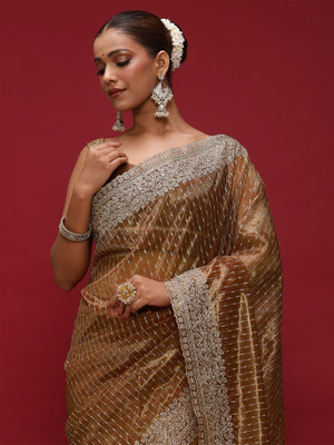 Divastri Embellished Bollywood Net Saree(Brown)
