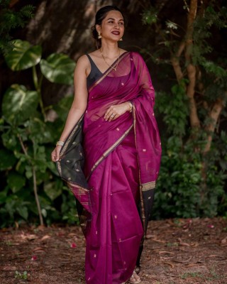 pavanputra fab Embroidered Banarasi Jacquard Saree(Purple)