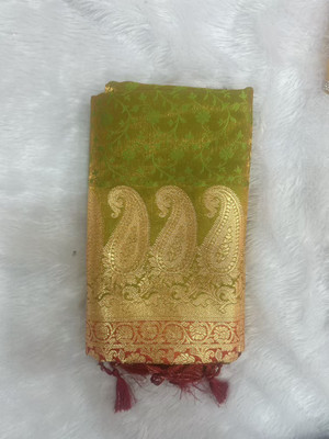 Beautiful Collection Printed Paithani Pure Silk Saree(Light Green)