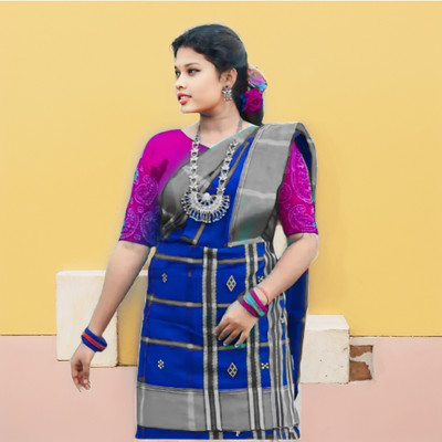 Prithvi Printed Handloom Tussar Silk Saree(Blue)