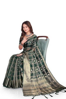 Aarunika MT Embroidered Bollywood Organza Saree(Green)
