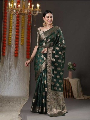 Sari Satva Embellished, Self Design, Floral Print, Woven, Applique Bollywood Organza Saree(Green)