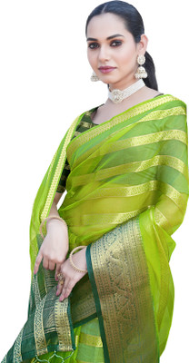 Aarunika BS Striped Bollywood Organza Saree(Light Green)