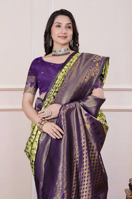 Sperova Woven, Self Design Banarasi Raw Silk Saree(Light Green, Dark Blue)