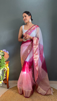 RAGISHA ENTERPRISE Color Block Bollywood Organza Saree(Purple)