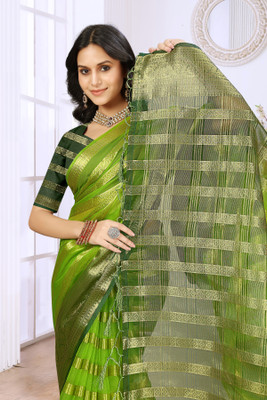 Aarunika SBT Embellished Bollywood Organza Saree(Light Green)