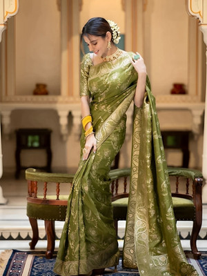 Vintro Self Design Banarasi Cotton Silk Saree(Light Green)