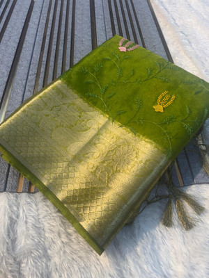 Divastri Embroidered Banarasi Organza Saree(Light Green)