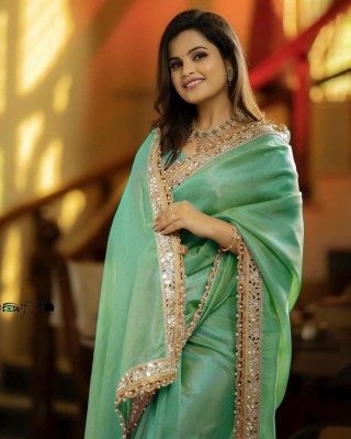 Vinayak Textile Embroidered Bollywood Net Saree(Green)