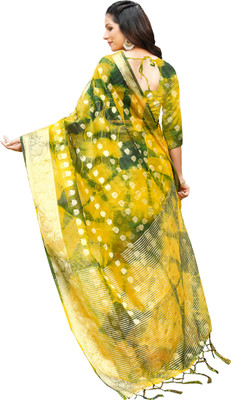 Aarunika SKT Printed Bollywood Organza Saree(Green)