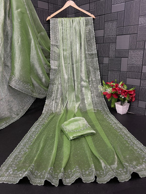 Jennyfab Embellished Bollywood Jimmy choo Saree(Light Green)