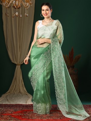 Divastri Embroidered Bollywood Organza Saree(Light Green)