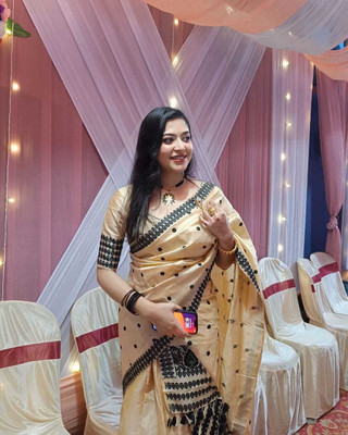 VRAJ CREATION Woven Mekhela Chador Pure Silk Saree(Cream)