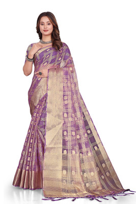 Aarunika MNT Solid/Plain Bollywood Organza Saree(Light Blue)