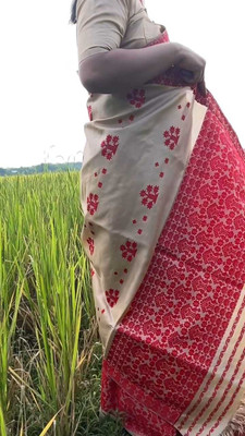 Garbguru Woven Mekhela Chador Pure Silk Saree(Cream, Red)