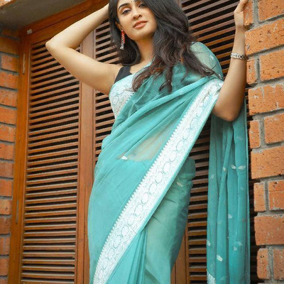 V V FASHION Printed Banarasi Pure Silk Saree(Light Blue)