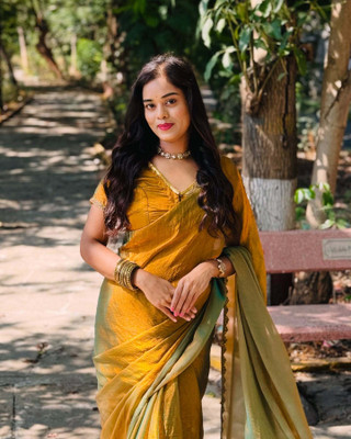 HouseOfCommon Embroidered Bollywood Chiffon Saree(Mustard)