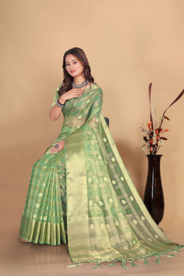 Aarunika LGF Dyed Bollywood Organza Saree(Light Green)