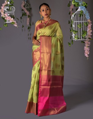 Banarasi Patola Printed Banarasi Silk Blend Saree(Light Green)