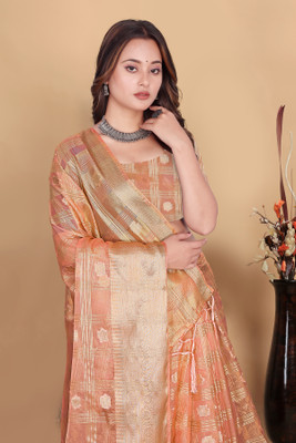 Aarunika SBT Solid/Plain Bollywood Organza Saree(Pink)
