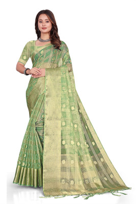 Aarunika SST Solid/Plain Bollywood Organza Saree(Light Green)