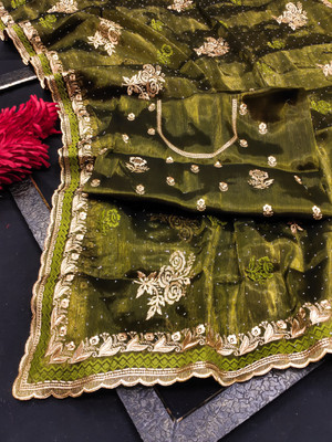 ZOYAL ENTERPRISE Embellished Bollywood Jimmy choo Saree(Light Green)