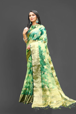 Aarunika SKT Woven Bollywood Organza Saree(Light Green)