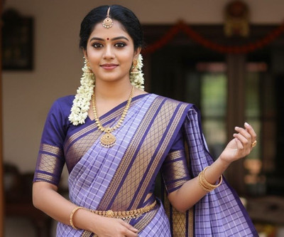 Thanyaa Checkered, Woven Chettinadu Cotton Silk Saree(Multicolor)